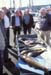 Faroes-02-007