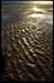 sandripples